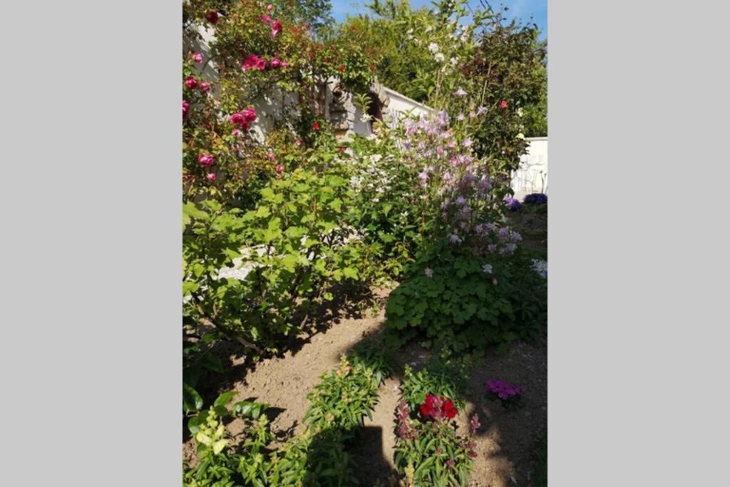 La Roseliere Maison Plain Pied Confortable Belle Decoration Jardin Magnifique 10 Mn A Pied Centre Ville Bayeux Proche Plages Du Debarquement Eksteriør billede