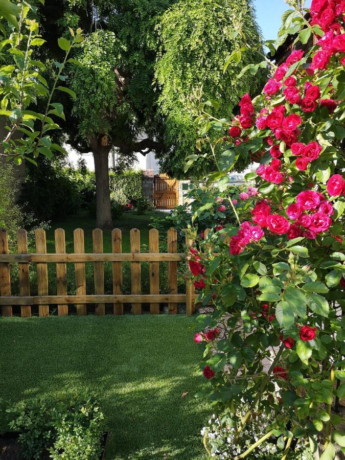 La Roseliere Maison Plain Pied Confortable Belle Decoration Jardin Magnifique 10 Mn A Pied Centre Ville Bayeux Proche Plages Du Debarquement Eksteriør billede